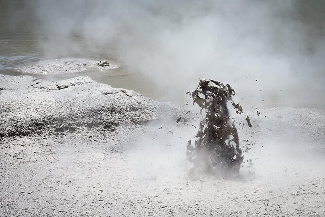 Auckland: Wai-O-Tapu, Polynesian Spa & Maori Haka Day Tour - The 3-hour-30-minute ride back to Auckland