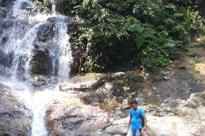 Back to Nature Tour - Templer's Park, Hot Spring & Batu Caves - Should you book the Back to Nature Tour?