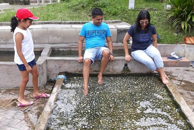 Back to Nature Tour - Templer's Park, Hot Spring & Batu Caves - Selayang Hot Springs and local bathing culture