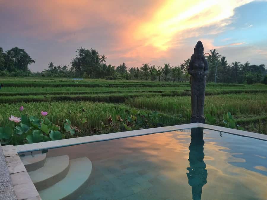 Bali: 7 Day Solo Traveler’s Yoga Retreat In Ubud - Key points at a glance