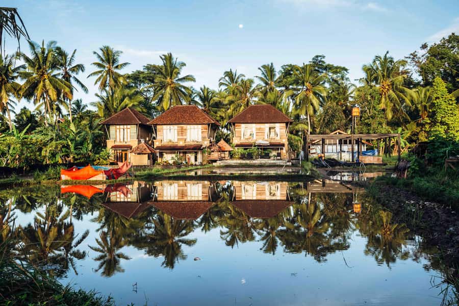 Bali: 7 Day Solo Traveler’s Yoga Retreat In Ubud - Thursday: medicinal tea and chocolate