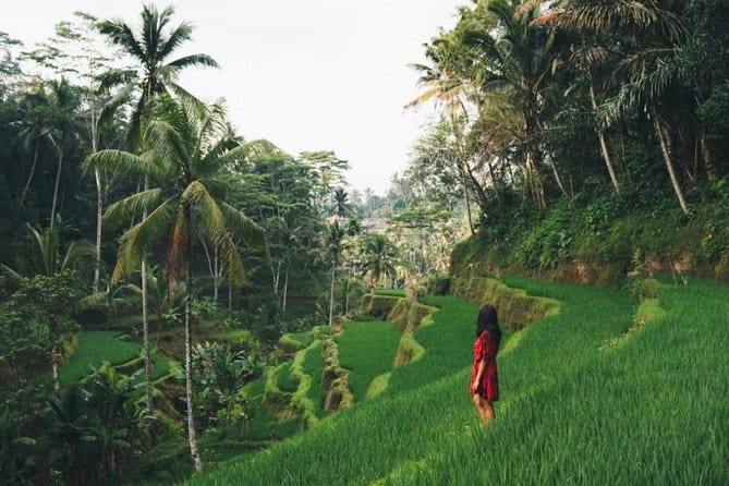 Bali day trip : Batur Sunrise Hike and Hot Spring All inclusive - The private format and guide service