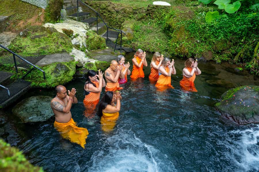 Bali: Healing Immersion Ubud Balinese Wellness + Lunch - Taking part in the water purification