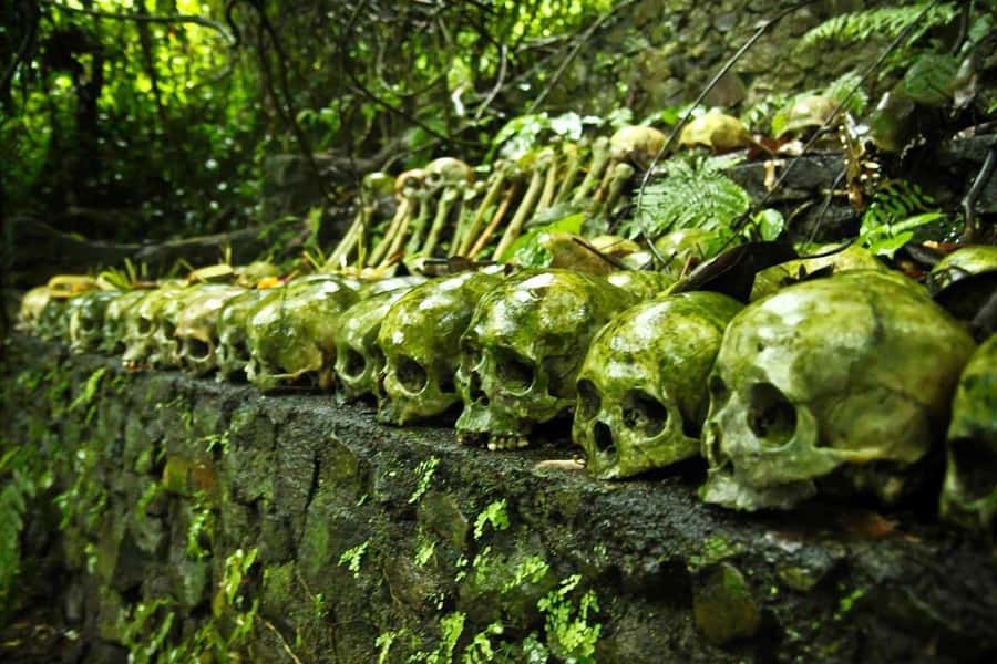 Bali: Trunyan Cemetery, Hot Springs, and Penglipuran Village - Why Trunyan changes the usual Bali day trip