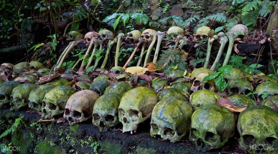 Bali: Trunyan Cemetery, Hot Springs, and Penglipuran Village - Batur Natural Hot Spring: the day’s easiest pleasure