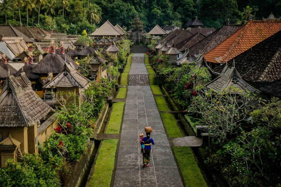 Bali: Trunyan Cemetery, Hot Springs, and Penglipuran Village - Who should book this Bali tour?