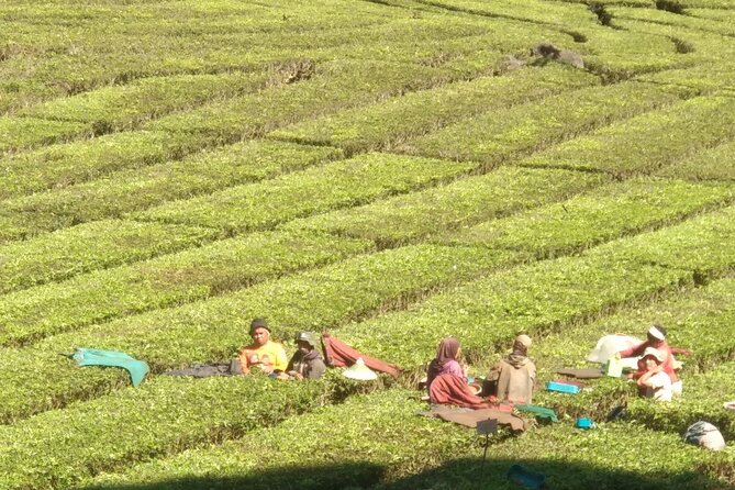 Bandung Volcano Sightseeing and Hot Spring Private Tour - Tangkuban Perahu: Why Timing Matters