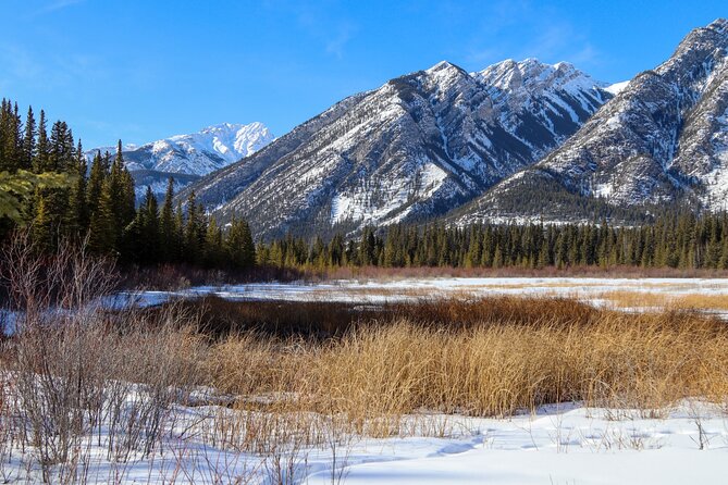 Banff Cave & Hot Springs Audio Walking Tour (Not a Ticket) - Who Should Choose This Experience?