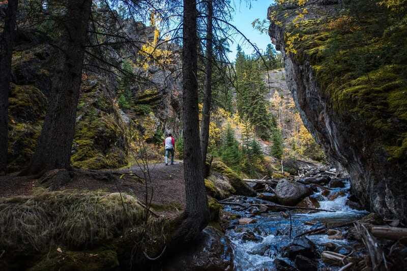 Banff: Thermal Waters and Hidden Waterfalls - 3hr Walk - What the $65 Price Covers