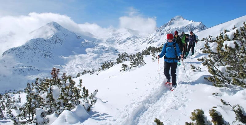 Bansko: Easy snowshoeing Pirin National Park & thermal spa - Pine forests, open views, and a quieter side of Bansko