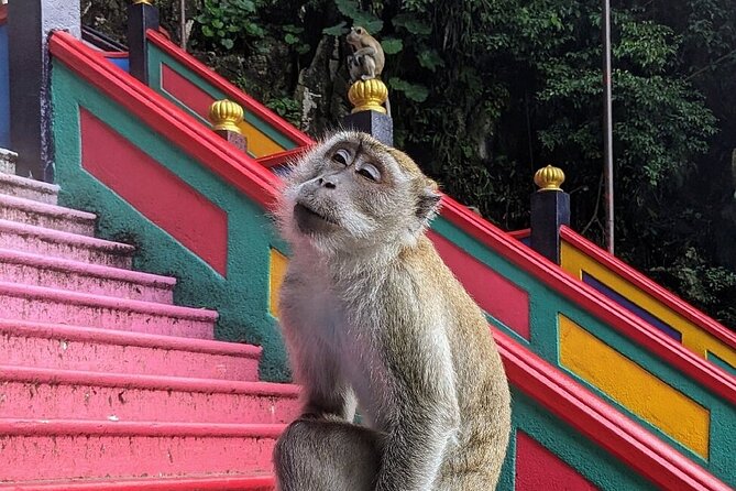 Batu Caves,Waterfalls and Hot Springs Tour With Lunch - The hot spring problem you need to check