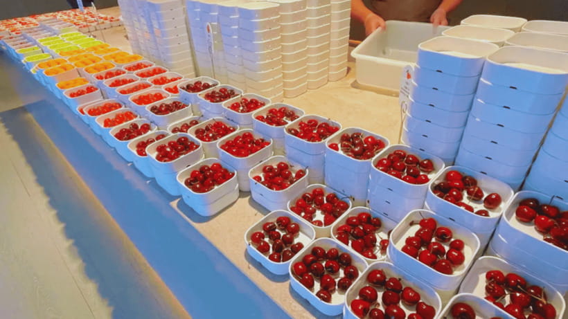 Beijing : SHUIGUO luxury SPA & Recreation Club day ticket - The unusual food deal: fruit, drinks, and ice cream
