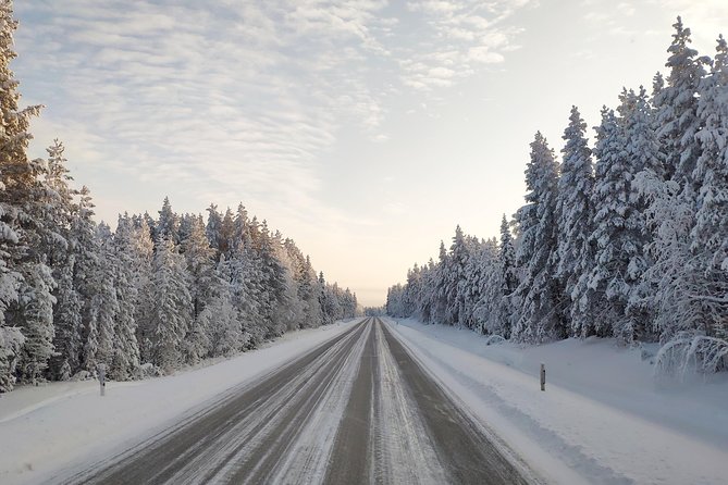 Best Of Lapland: Sauna, Ice swimming, Dinner & Northern Lights - The Northern Lights: a bonus, not the main event