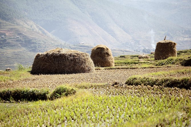 Bhutan Spiritual & Wellness Tour Package With Monastic Stay - Key points to know before booking