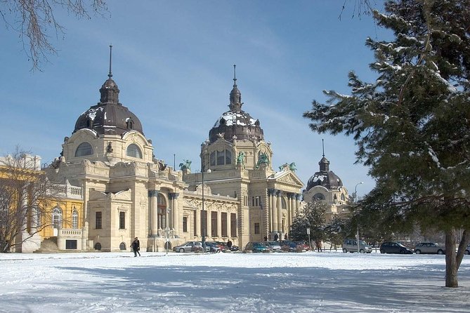 Budapest Széchenyi Spa with Danube Cruise and Optional Dinner - Choosing the dinner package