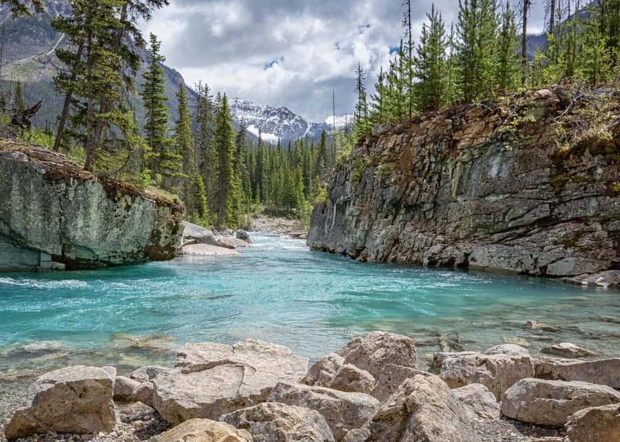 Calgary: Radium Hot Springs & Marble Canyon Day Trip - The long scenic drive is part of the experience