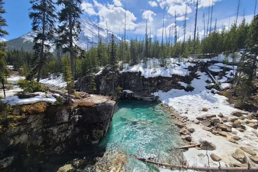 Calgary: Radium Hot Springs & Marble Canyon Day Trip - Who should book this day trip?