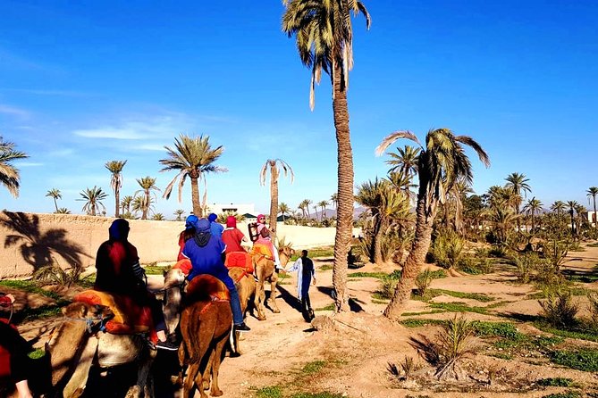 Camel Ride and Spa Treatment in Marrakech - From Marrakech hotel to the Palmeraie