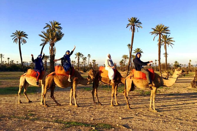 Camel Ride and Spa Treatment in Marrakech - Black soap and eucalyptus scrub