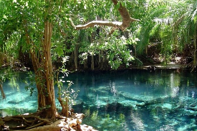 Chemka Hot Springs Day Trip - What is not part of the day