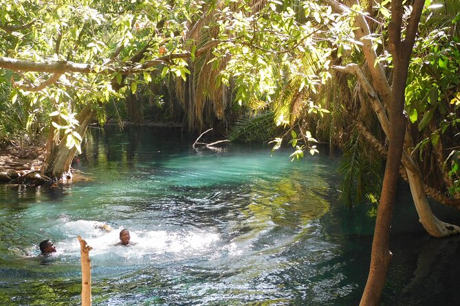 Chemka (Kikuletwa) Hot Springs, Tanzania - Key points to know before booking