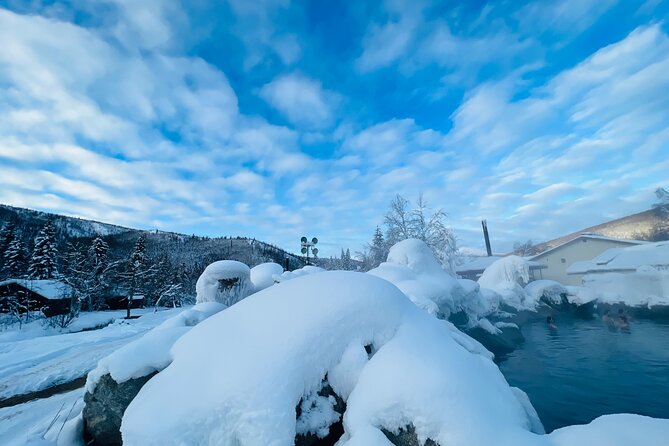 Chena Hot Spring Day Tour - Practical booking and cancellation details