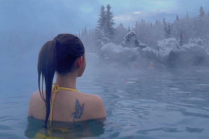 Chena Hot Spring Day Trip - Key points to know before you book