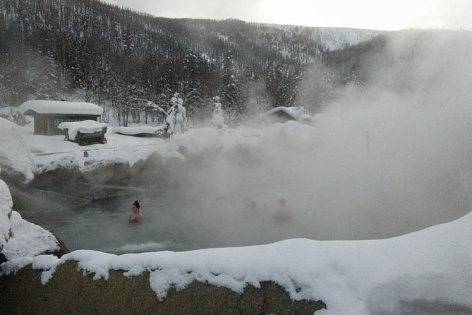 Chena Hot Springs Aurora Tour - Key points to know before booking