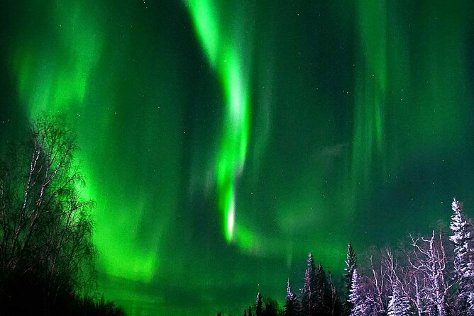 Chena Hot Springs Aurora Tour - Why this Fairbanks evening works so well