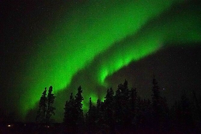 Chena Hot Springs Aurora Tour - The drive through Tanana Valley State Forest