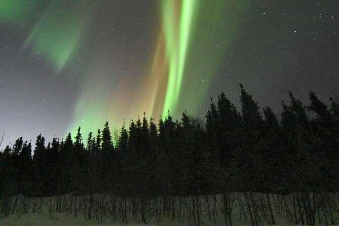 Chena Hot Springs Northern Lights Aurora Borealis From Fairbanks - Inside the Ice Museum and ice bar