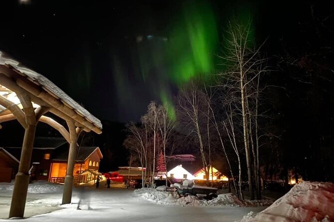 Chena Hot Springs Round Trip Tour - Choosing daytime or evening