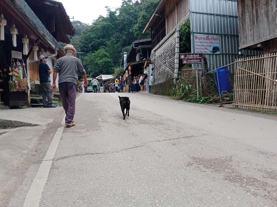 Chiang Mai: Mae Kampong Village, Hot Springs & Bor Sang Tour - Is $112 a fair price?