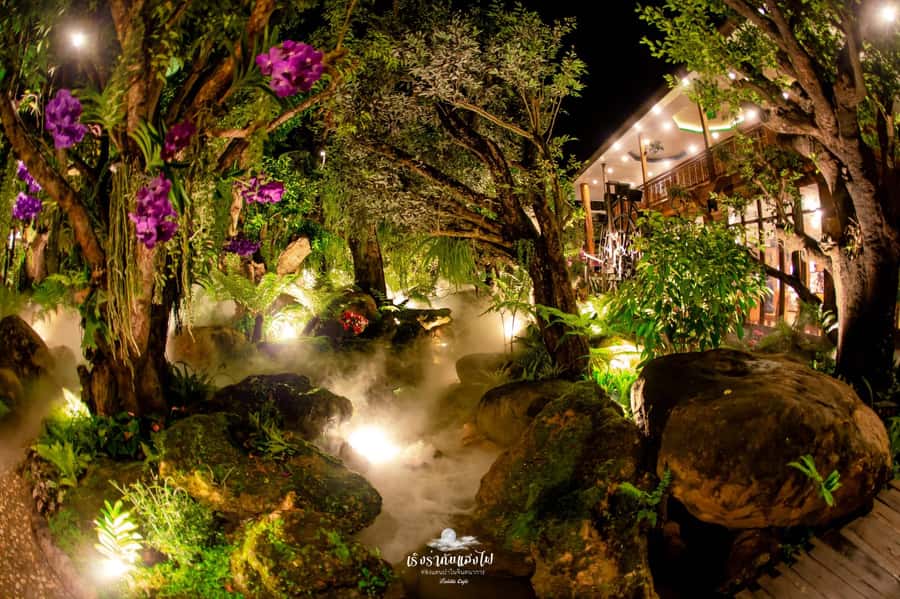 Chiangmai to Chiangrai: 3 Temples, Hot Springs& Lalitta Cafe - Lalitta Cafe and its waterfall garden