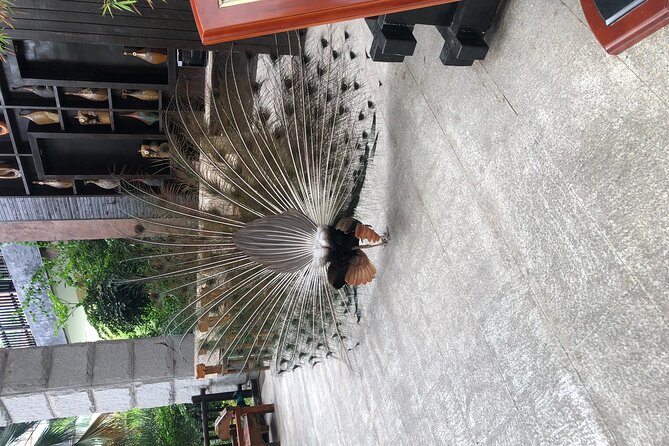Chongqing Luxury Hot Spring and Massage Luxury Meal Private Tour - Is the $10 price really the full cost?