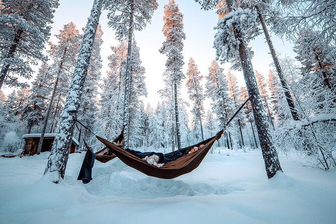 Cocooning in the HaliPuu forest: The ultimate Arctic hammock relaxation - A quiet forest program near Levi