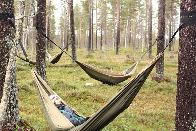 Cocooning in the HaliPuu forest: The ultimate Arctic hammock relaxation - How the $124.66 price compares in value