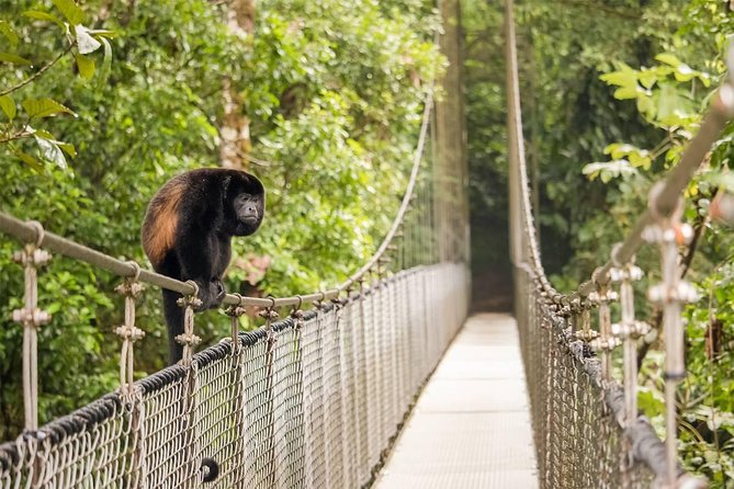 Combo Arenal : Suspension Bridges + Hot Springs + Fortune Falls - La Fortuna Waterfall and its 70-meter drop