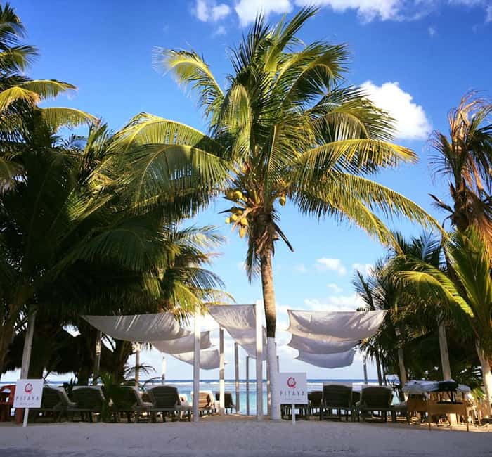 Costa Maya: Beach with Open Bar, Massage, Lunch & Snorkeling - A simple Costa Maya escape from the port