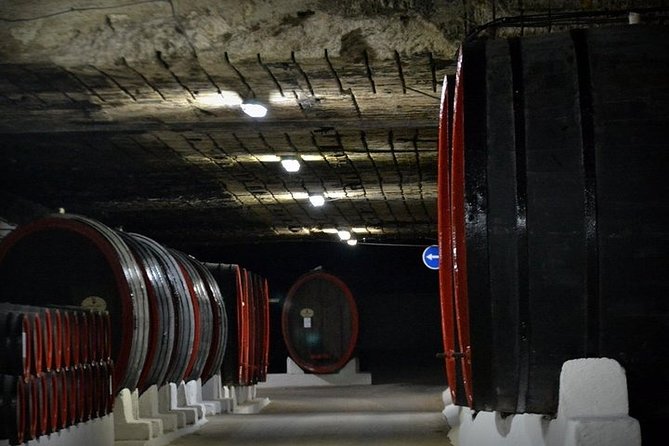 Cricova Winery & SPA Visit - From the cellar to Nobil Luxury Boutique Hotel
