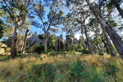 Daylesford Goldfields Track Walking and Wellness Experience