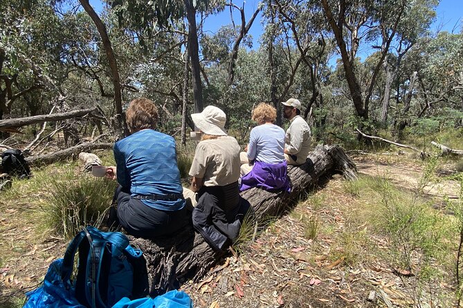 Daylesford Goldfields Track Walking and Wellness Experience - What $1,900.69 buys you