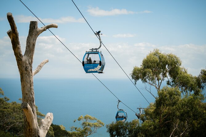 Depart Peninsula: Mornington Wine & Hot Springs Tour with Lunch - Key points at a glance