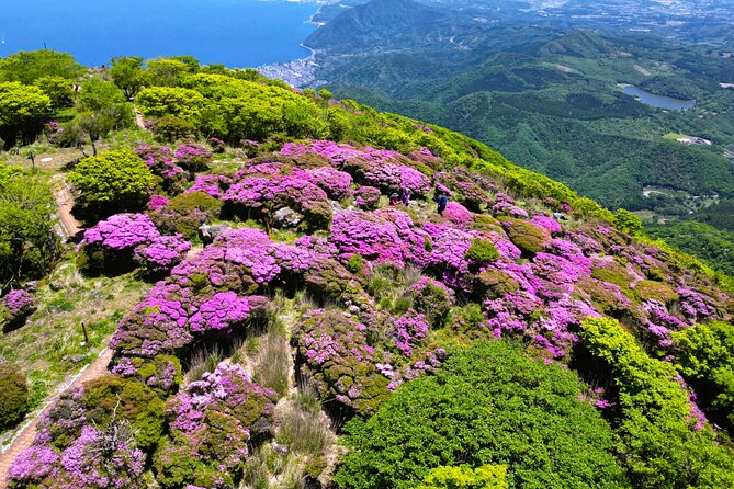 Discover Beppu and Yufuin Nature and Onsen Trip - Changing from private car to local bus