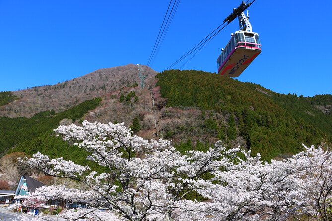 Discover Beppu and Yufuin Nature and Onsen Trip - Choosing an onsen in Yufuin