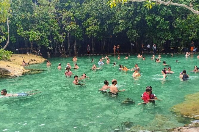Discover Krabi - Emerald Pool, Hot Springs & Tiger Cave Temple - Emerald Pool: a forest walk with a warm swim