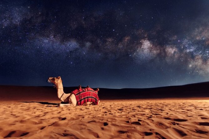 Doha Night Desert Safari, Stargazing, Photography، Relaxation - Sandboarding on soft slopes