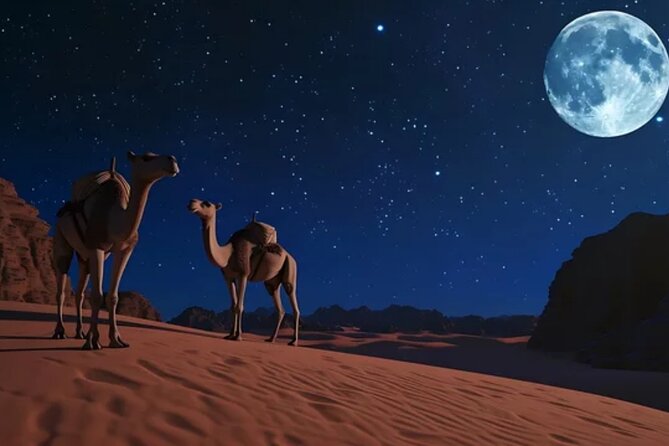 Doha Night Desert Safari, Stargazing, Photography، Relaxation - Choosing the camel ride
