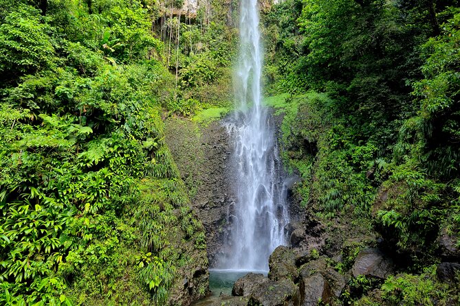 Dominica Adventure Hiking, Swimming, and Hot Springs Tour - Why this tour works for an active day in Dominica