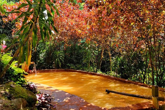 Dominica Adventure Hiking, Swimming, and Hot Springs Tour - Freshwater Lake and the high mountain view